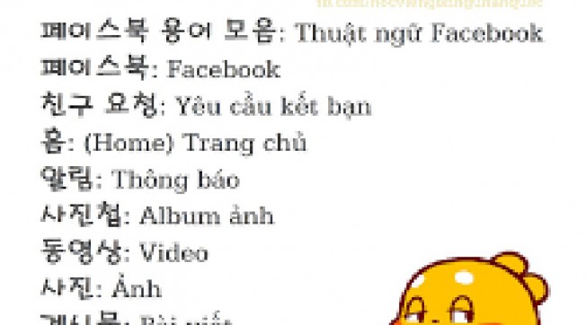 65 Từ Vựng Tiếng Hàn Quen Thuộc Qua Thuật Ngữ Facebook