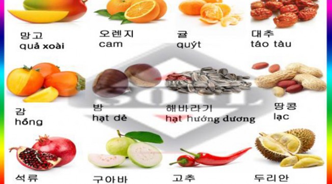 Từ Vựng Tiếng Hàn Về Món Ăn Việt Nam