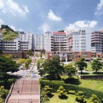 Trường Đại Học Youngsan – Hàn Quốc