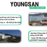 Trường Đại Học Yeongsan Hàn Quốc
