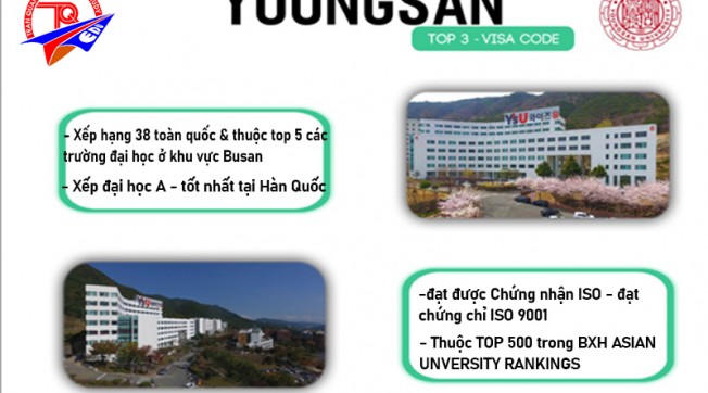 Trường Đại Học Yeongsan Hàn Quốc