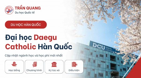 Trường Đại Học Daegu Catholic Hàn Quốc