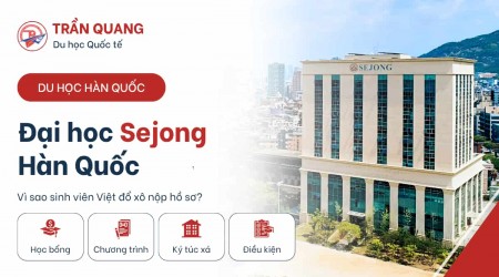 Trường Đại học Sejong Hàn Quốc – Vì sao sinh viên Việt đổ xô nộp hồ sơ?
