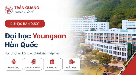 Trường Đại Học Youngsan – Hàn Quốc