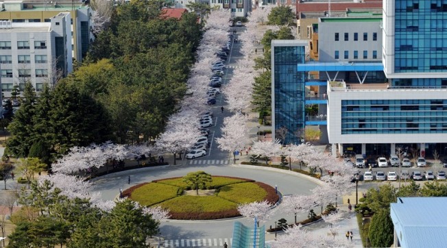 Trường Đại Học Quốc Gia Pukyong Tuyển Sinh Hệ Đại Học Và Sau Đại Học