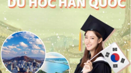 Visa Hàn Quốc 2024: Bí kíp xin visa thành công - Thủ tục và Kinh nghiệm