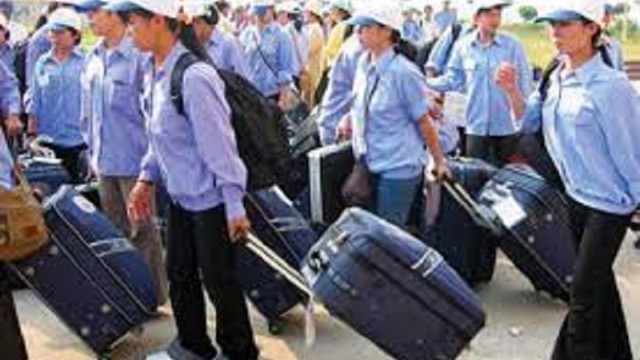 3 ngành đào tạo nổi bật ở Nhật Bản