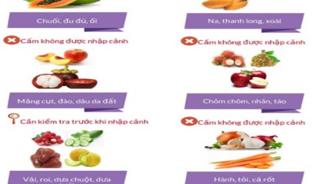 Những thực phẩm bị cấm khi nhập cảnh vào Nhật Bản