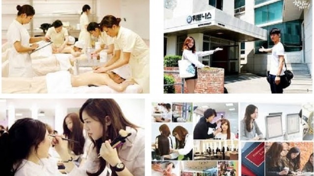 Các ngành nghè được du học sinh lựa chọn khi đi du học Hàn Quốc