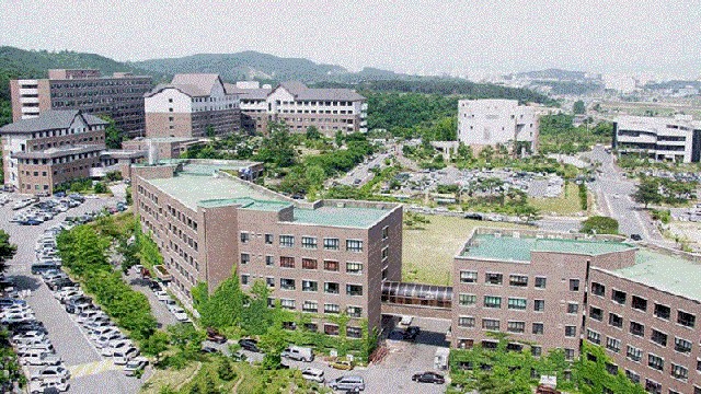 Cao đẳng nghề Honam cơ hội rộng mở cho các bạn trẻ