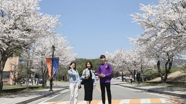 Điều kiện du học đại học Hàn Quốc: Chương trình đại học (phần 2)