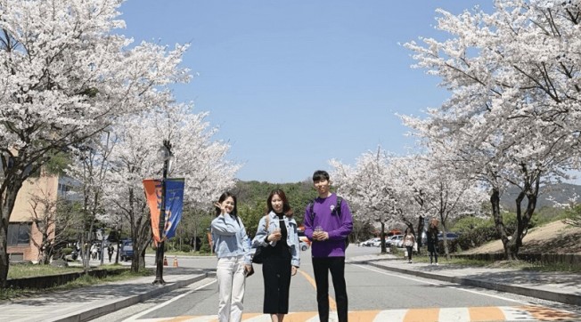 Điều kiện du học đại học Hàn Quốc: Chương trình đại học (phần 2)