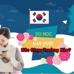 Đi du học Hàn Quốc nên chọn trường nào