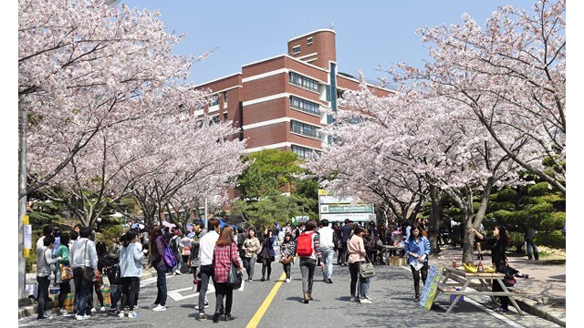 Du học thạc sĩ vừa học vừa làm tại Hàn Quốc