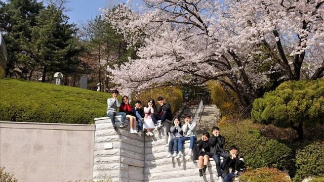 Khí hậu Hàn Quốc mùa xuân như thế nào