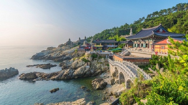 Người Việt Nam Gõ Cửa Cuộc Sống Busan Bài 2 (tiếp)