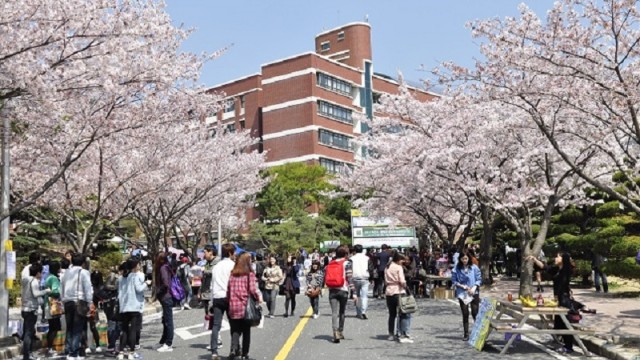 Giật Mình Với Số Lượng Du Học Sinh Việt Nam Bỏ Trốn Cao Chưa Từng Thấy