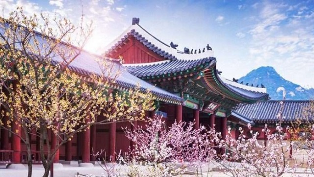 Topik 3 và cơ hội học chuyên ngành tại Hàn Quốc