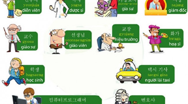 Tiếng Hàn thú vị từ vựng tiếng Hàn chủ đề nghề nghiệp