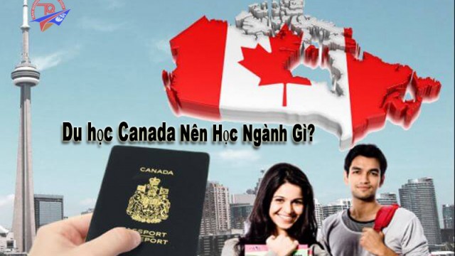Du học Canada nên học ngành gì