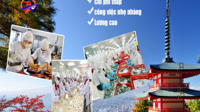 Tuyển dụng lao động đi Nhật Bản
