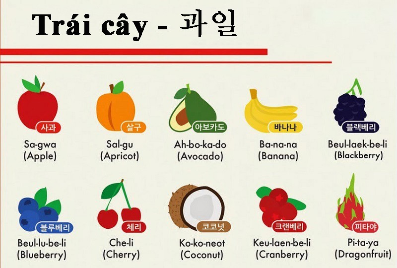 Học Tiếng Hàn Theo Chủ Đề Có Phiên Âm