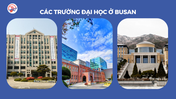 Các trường đại học ở Busan