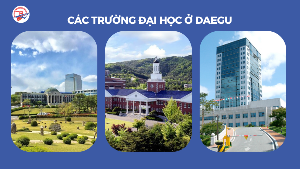Các trường đại học ở Daegu