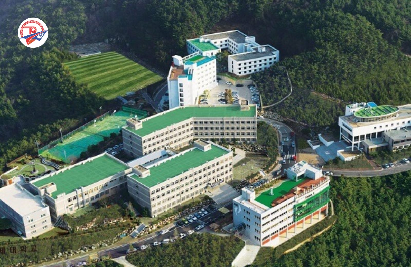 Đại học Koje