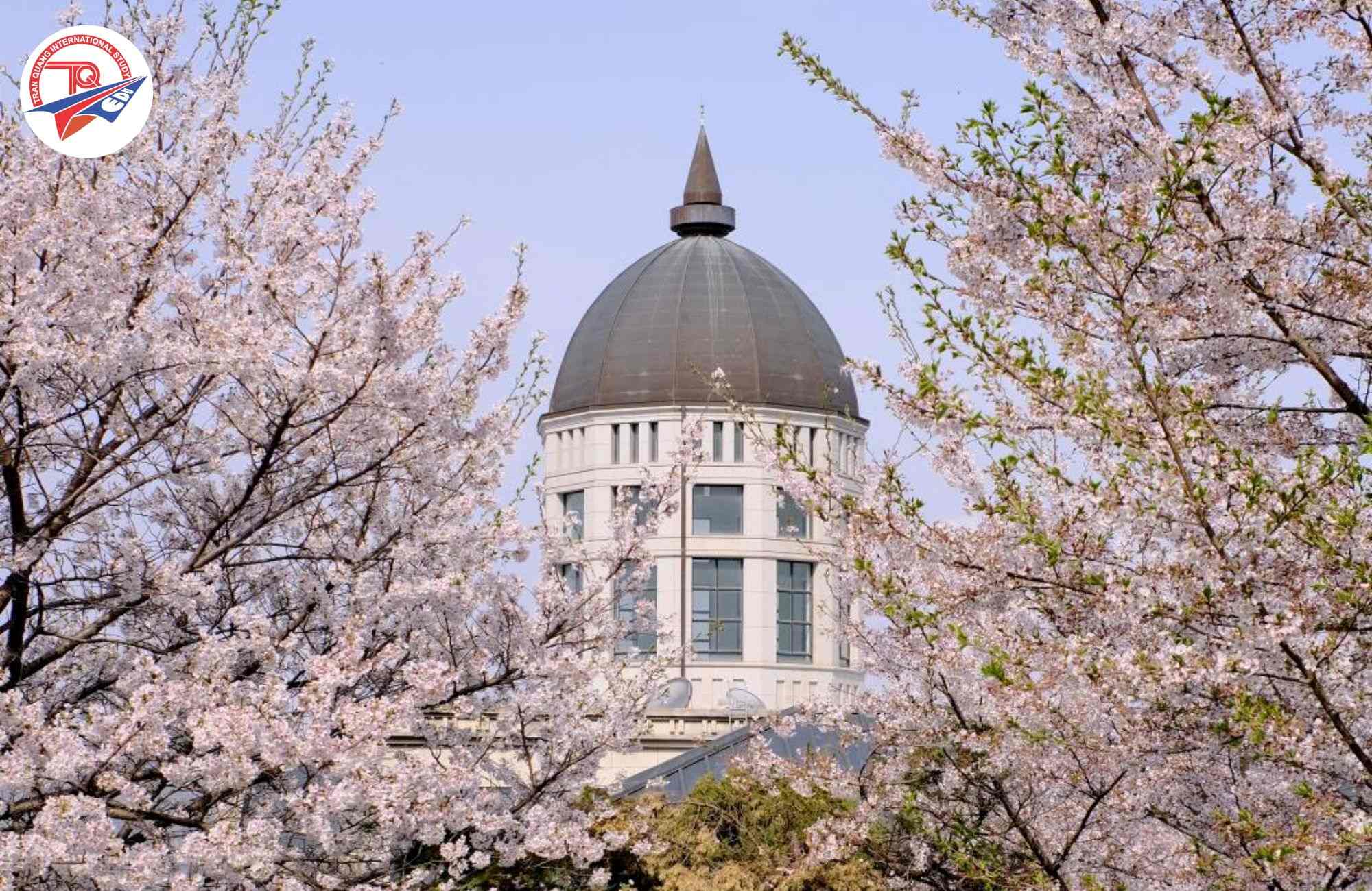 Mùa xuân tại đại học Tongwon