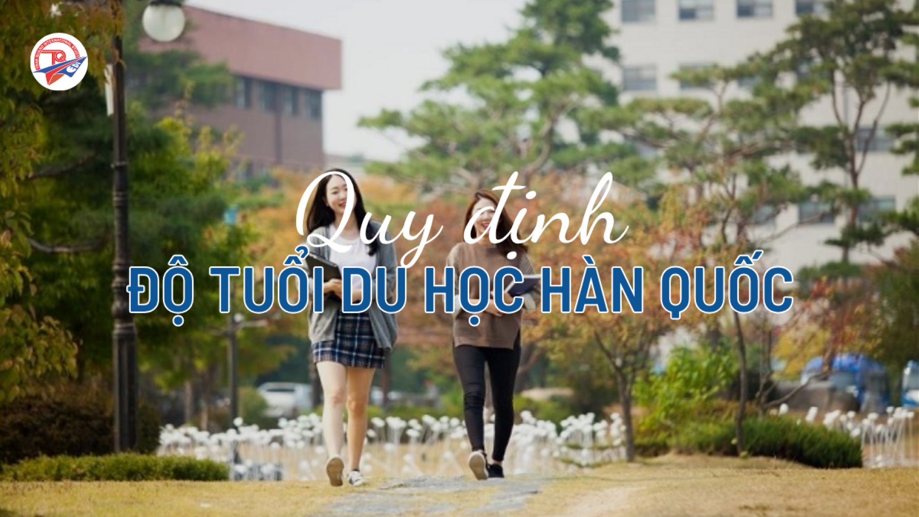 Quy định độ tuổi du học Hàn Quốc