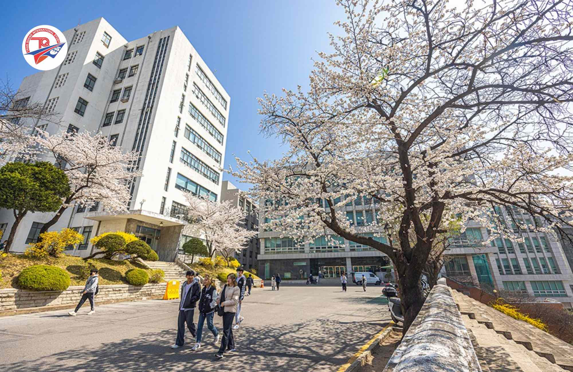 Chương trình sau Đại học trường Đại học Kyung Hee Hàn Quốc