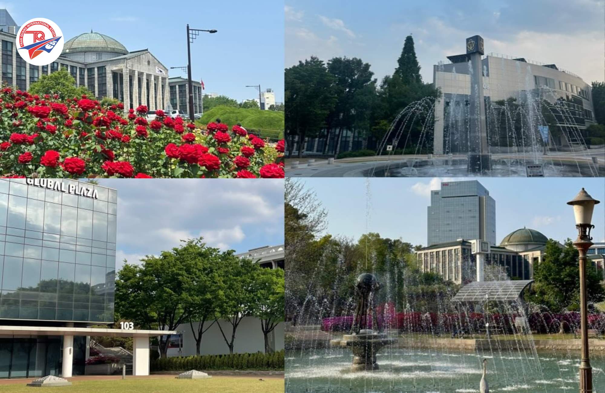 Sân trường Đại học Quốc gia Kyungpook