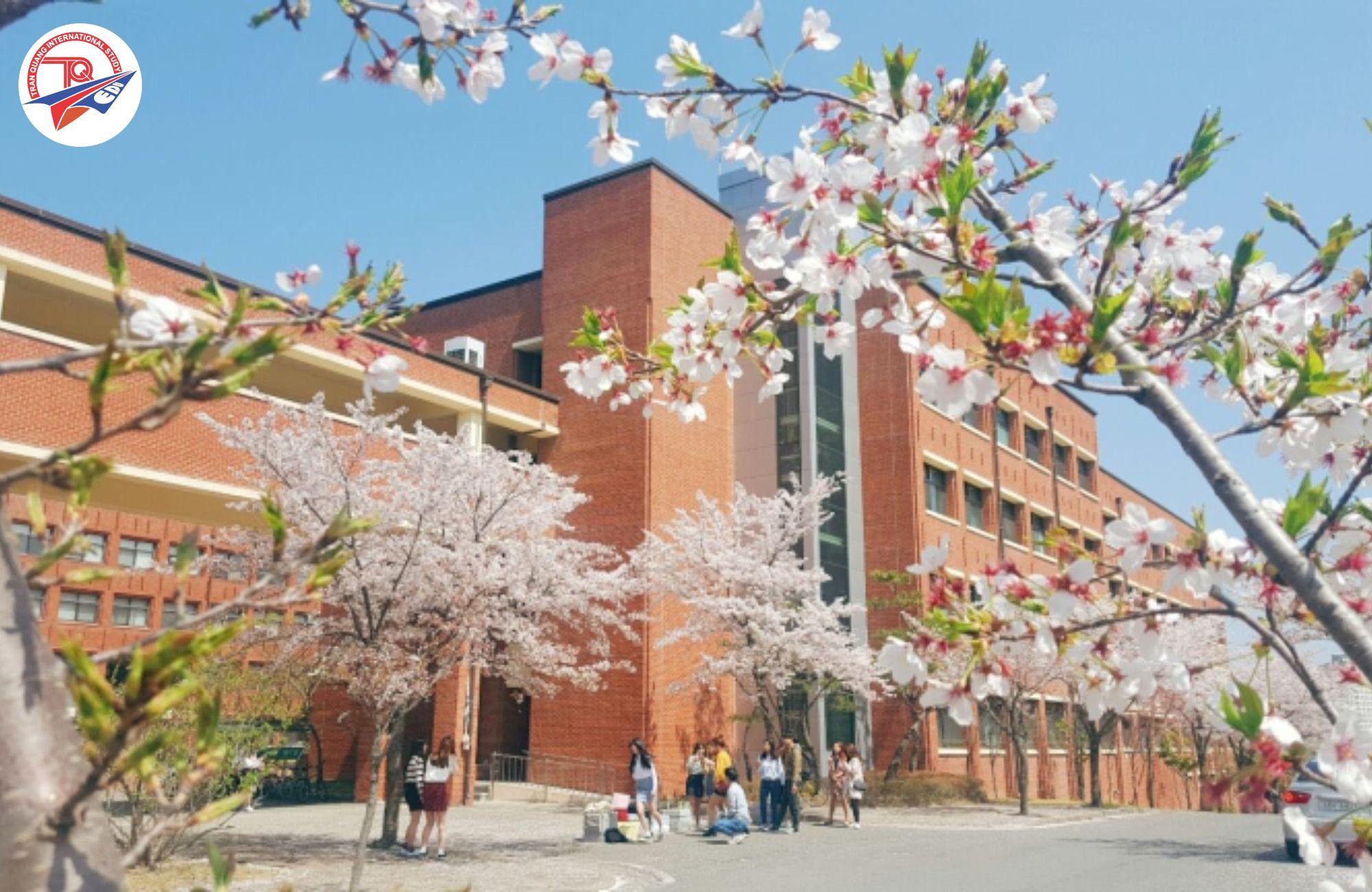 Trường đại học quốc gia Gyeongsang